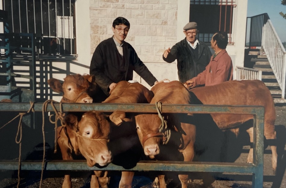 Sélection sur marché aux bestiaux